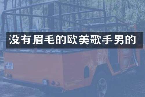 没有眉毛的欧美歌手男的