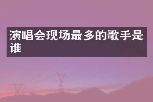 演唱会现场最多的歌手是谁
