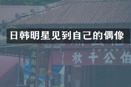 日韩明星见到自己的偶像