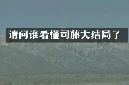 请问谁看懂司藤大结局了