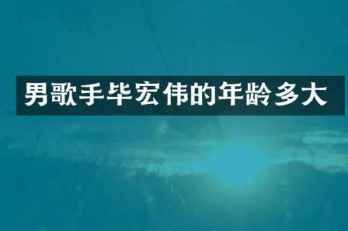 男歌手毕宏伟的年龄多大