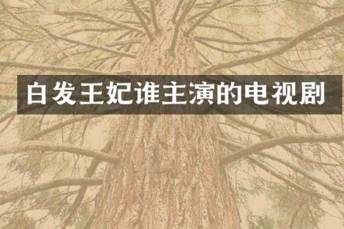 白发王妃谁主演的电视剧