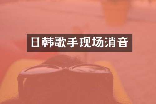 日韩歌手现场消音