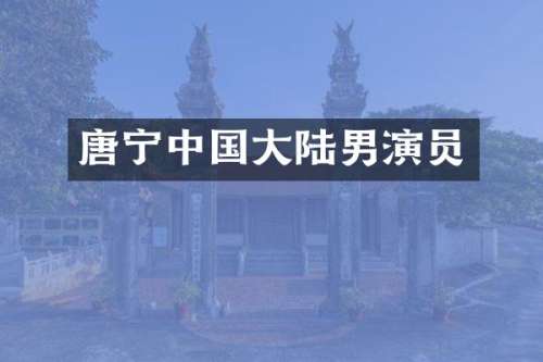 唐宁中国大陆男演员
