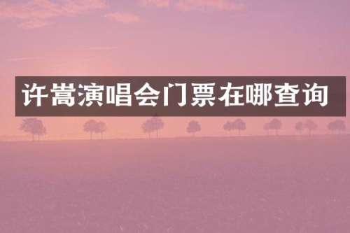 许嵩演唱会门票在哪查询