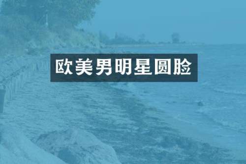欧美男明星圆脸