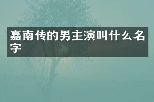 嘉南传的男主演叫什么名字