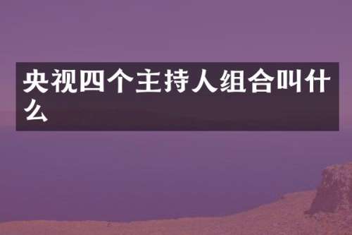 央视四个主持人组合叫什么