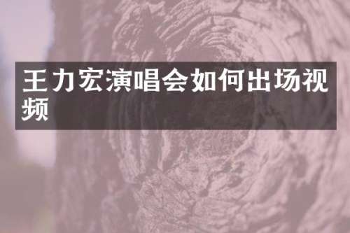 王力宏演唱会如何出场视频