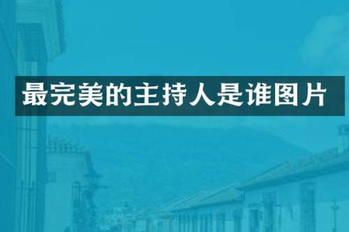 最完美的主持人是谁图片