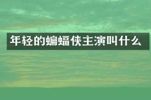 年轻的蝙蝠侠主演叫什么