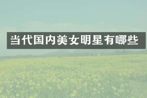 当代国内明星有哪些