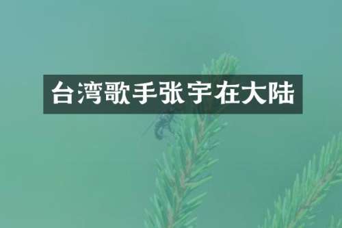 台湾歌手张宇在大陆