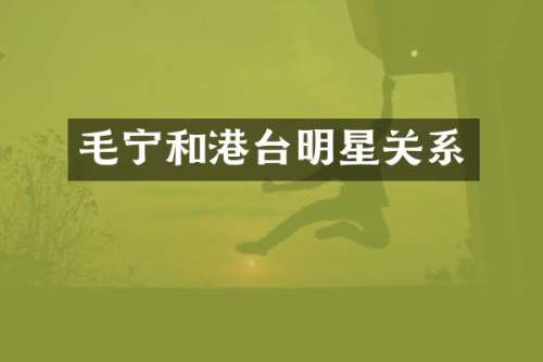 毛宁和港台明星关系