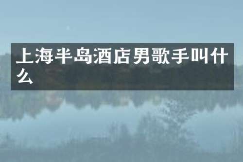 上海半岛酒店男歌手叫什么