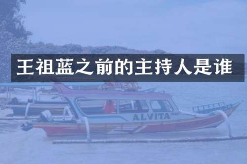 王祖蓝之前的主持人是谁