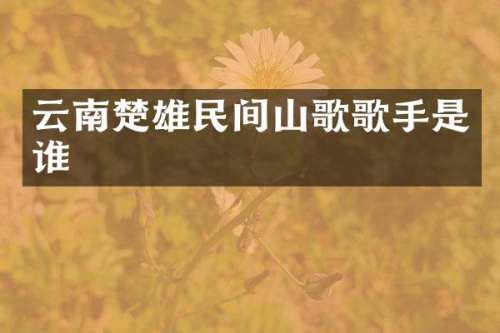 云南楚雄民间山歌歌手是谁