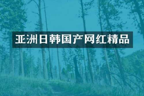亚洲日韩国产网红精品