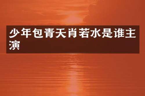 少年包青天肖若水是谁主演