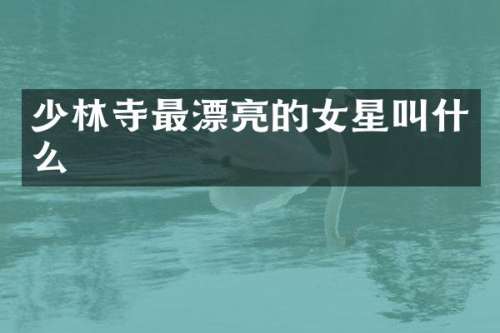 少林寺最漂亮的女星叫什么