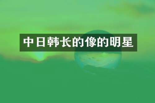 中日韩长的像的明星