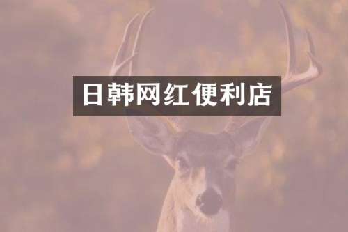 日韩网红便利店