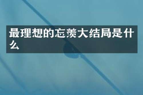 最理想的忘羡大结局是什么