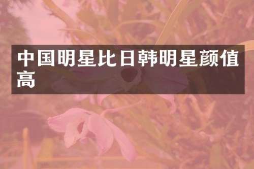 中国明星比日韩明星颜值高