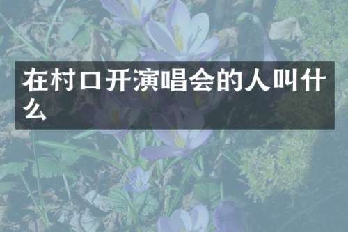 在村口开演唱会的人叫什么