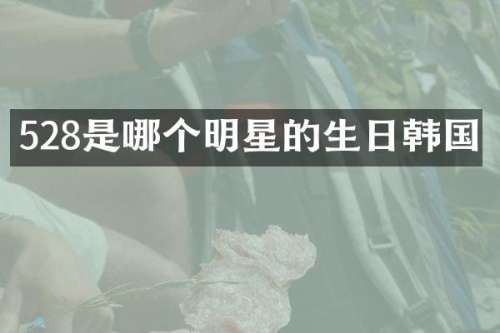 528是哪个明星的生日韩国