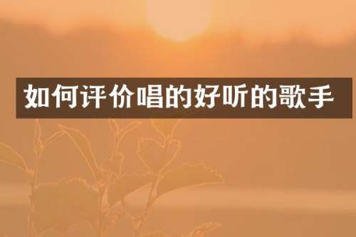 如何评价唱的好听的歌手