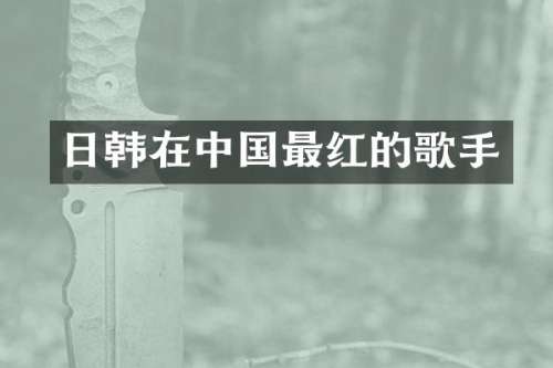 日韩在中国最红的歌手
