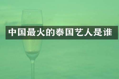 中国最火的泰国艺人是谁