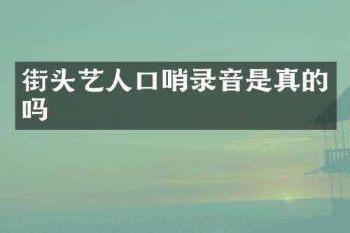 街头艺人口哨录音是真的吗
