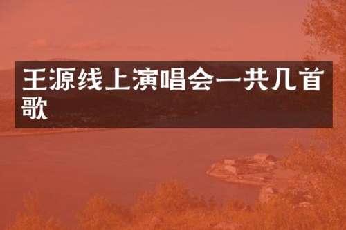 王源线上演唱会一共几首歌
