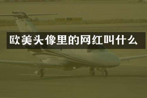 欧美头像里的网红叫什么