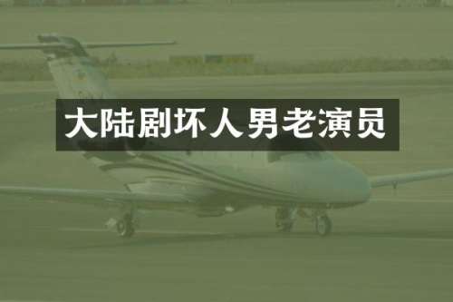大陆剧坏人男老演员