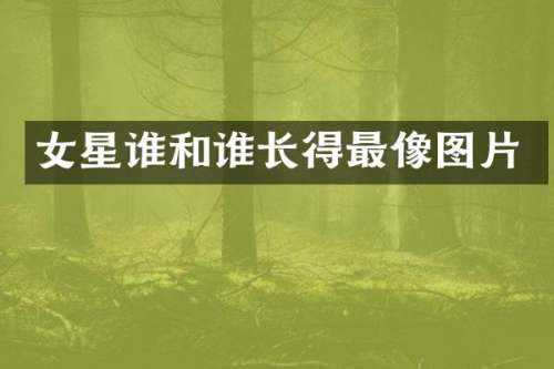 女星谁和谁长得最像图片