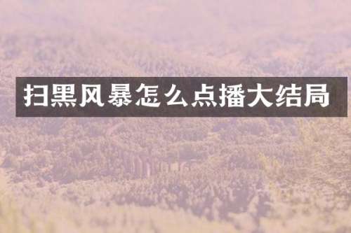 扫黑风暴怎么点播大结局