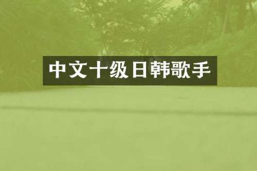 中文十级日韩歌手