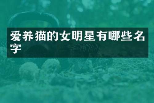 爱养猫的女明星有哪些名字