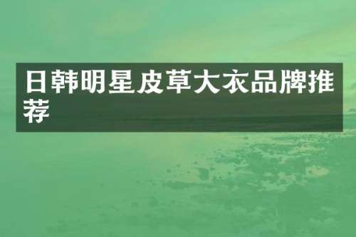 日韩明星皮草大衣品牌推荐