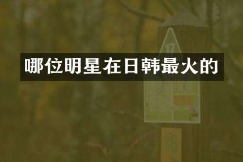 哪位明星在日韩最火的