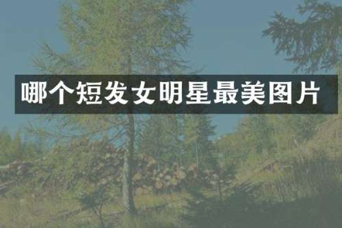 哪个短发女明星最美图片