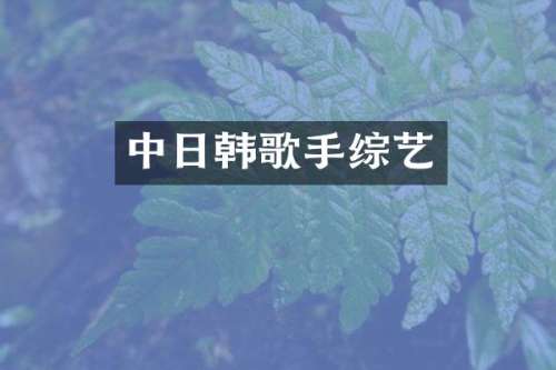 中日韩歌手综艺
