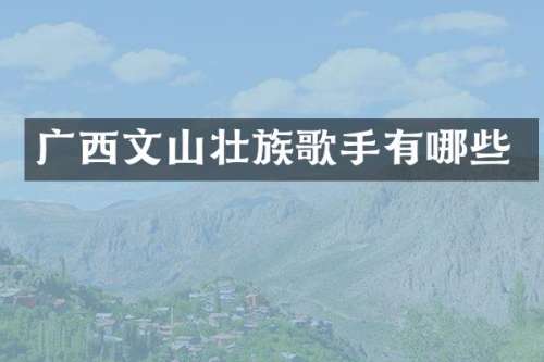 广西文山壮族歌手有哪些