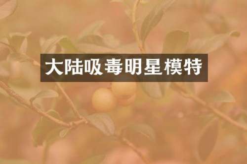大陆吸毒明星模特