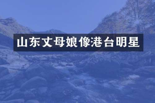 山东丈母娘像港台明星