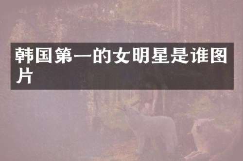 韩国第一的女明星是谁图片