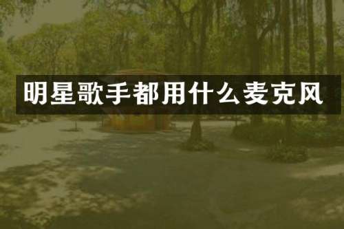 明星歌手都用什么麦克风